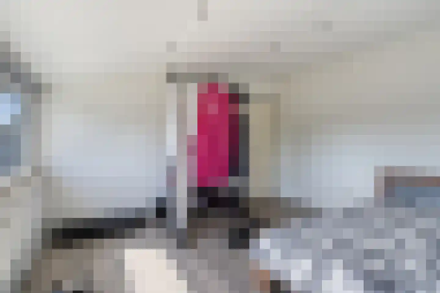 Veersestraat 16 A Guttecoven thumbnail 26