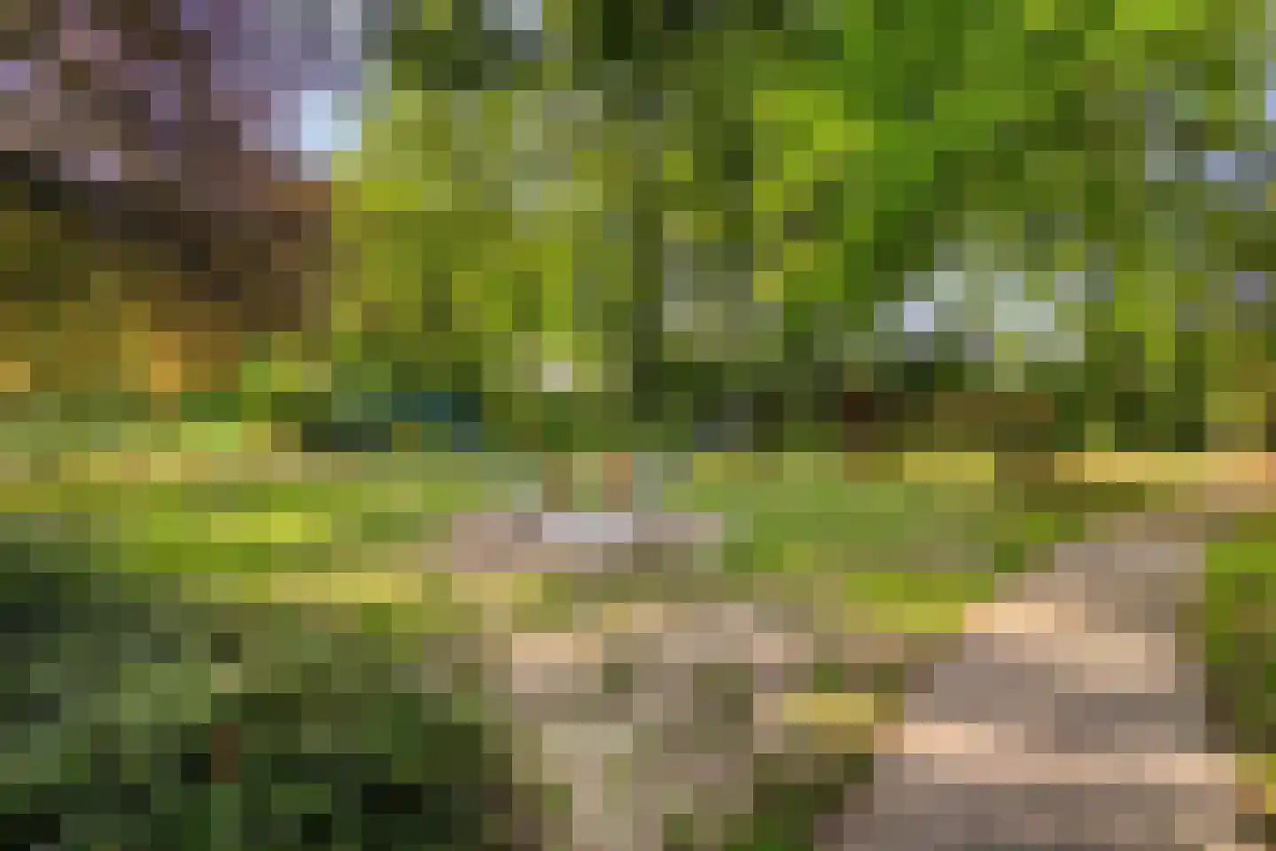 Veersestraat 16 A Guttecoven thumbnail 37