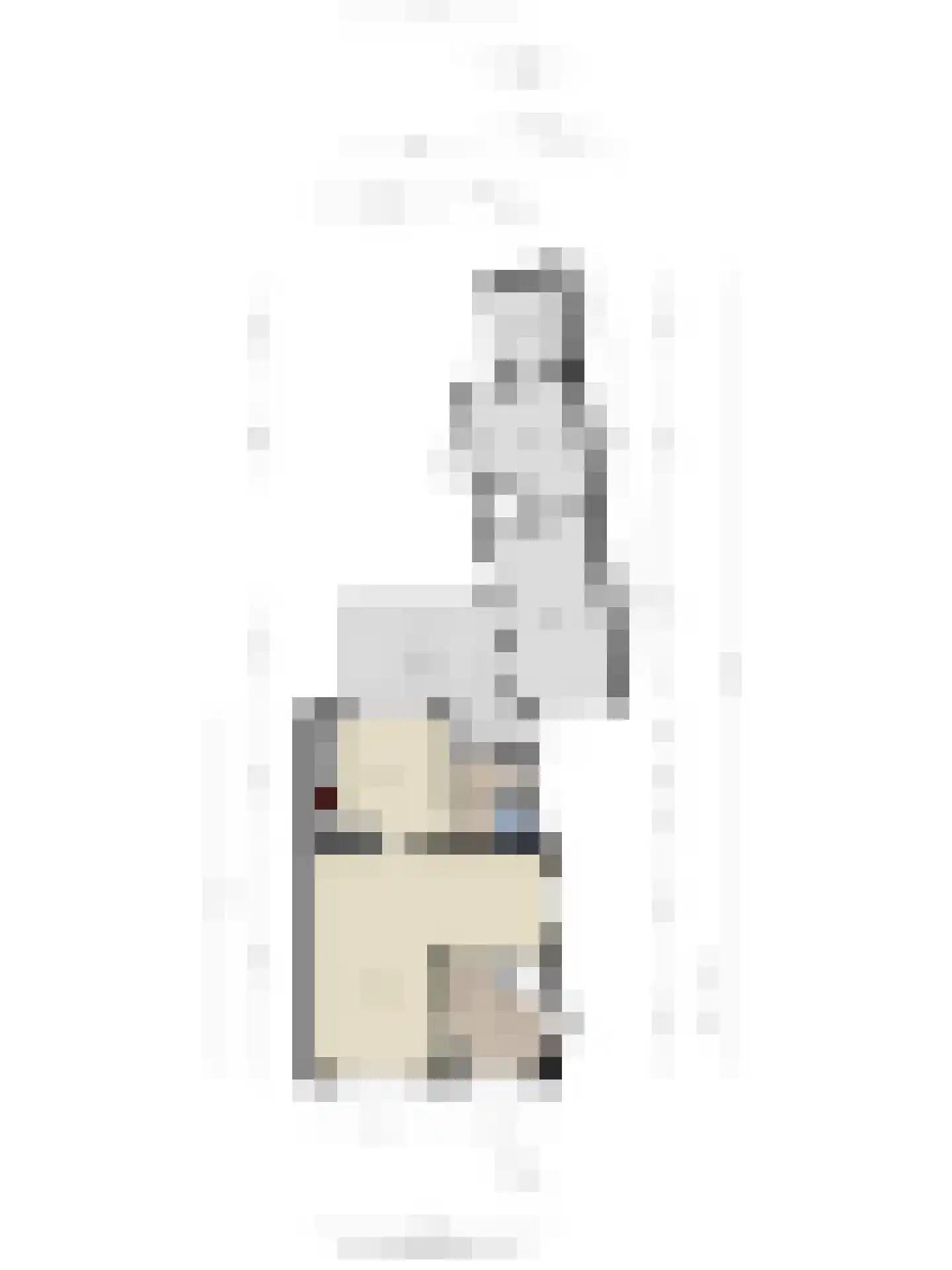 Veersestraat 16 A Guttecoven thumbnail 41