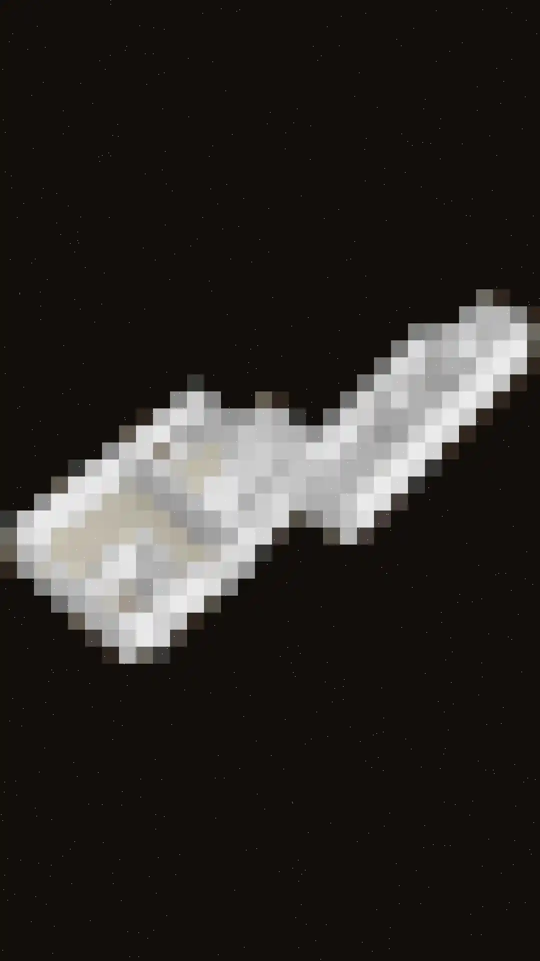 Veersestraat 16 A Guttecoven thumbnail 46