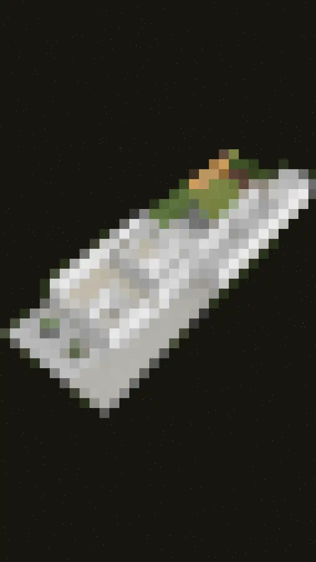 Veersestraat 16 A Guttecoven thumbnail 47