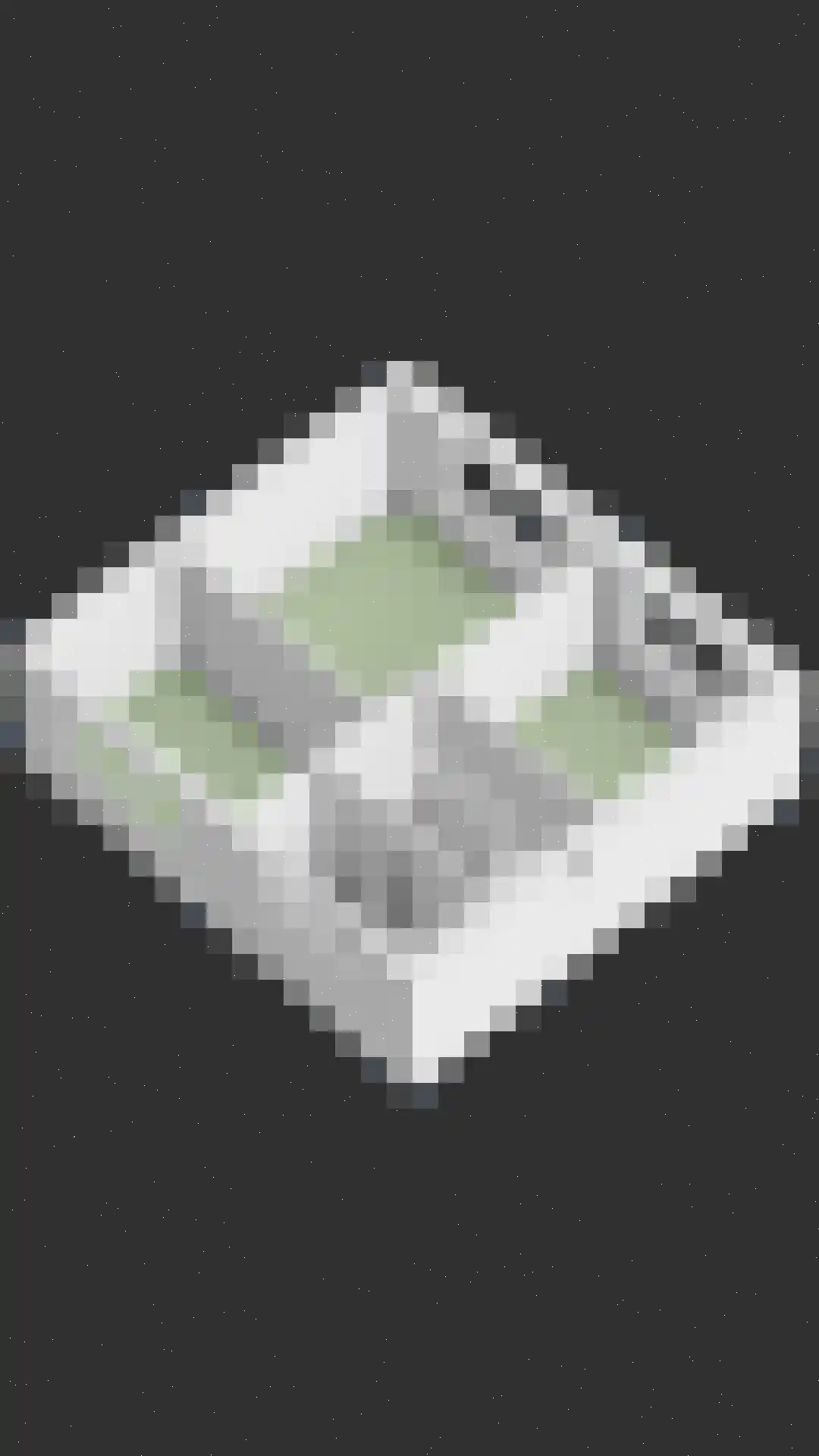 Veersestraat 16 A Guttecoven thumbnail 48