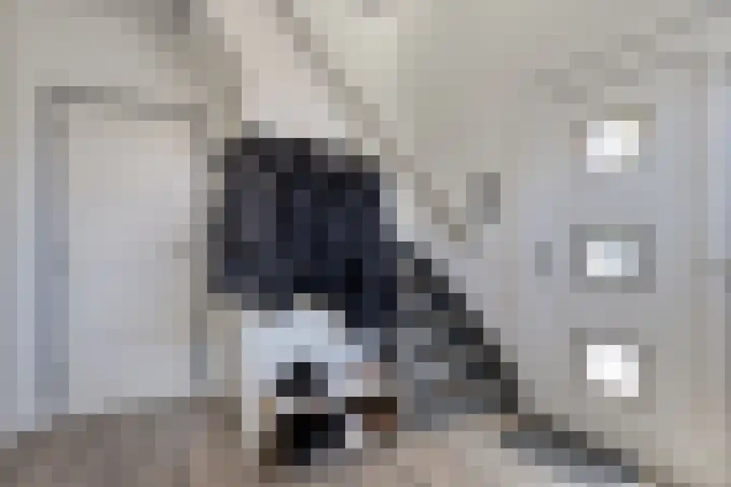 Veersestraat 16 A Guttecoven thumbnail 6