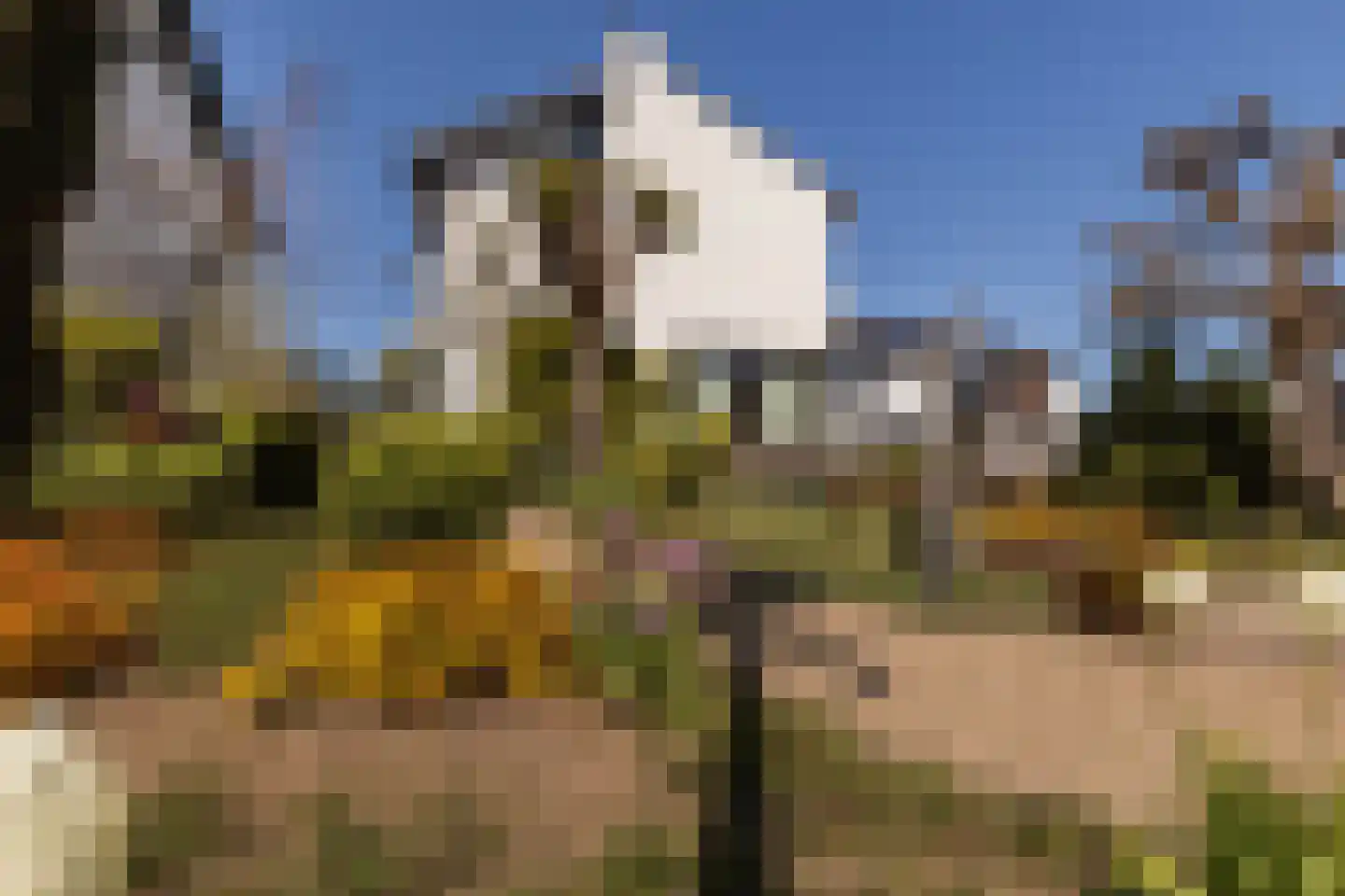 Veersestraat 31 Guttecoven thumbnail 10
