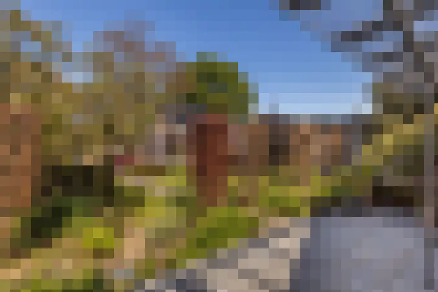Veersestraat 31 Guttecoven thumbnail 38