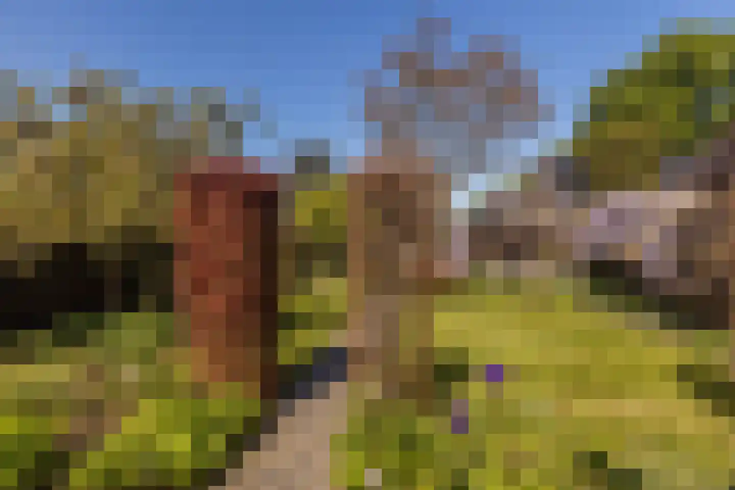Veersestraat 31 Guttecoven thumbnail 39