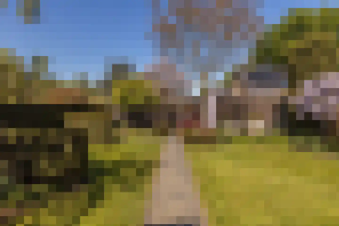 Veersestraat 31 Guttecoven thumbnail 40