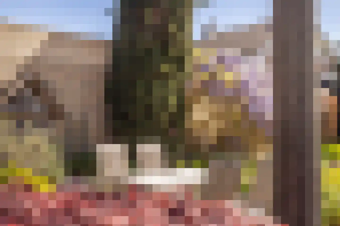 Veersestraat 31 Guttecoven thumbnail 41