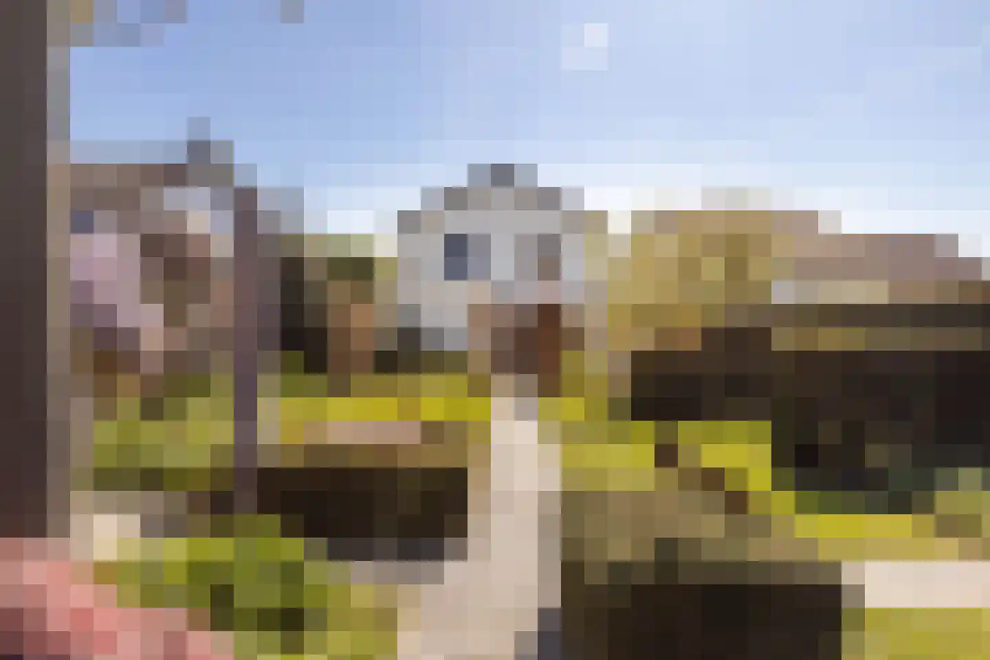 Veersestraat 31 Guttecoven thumbnail 42
