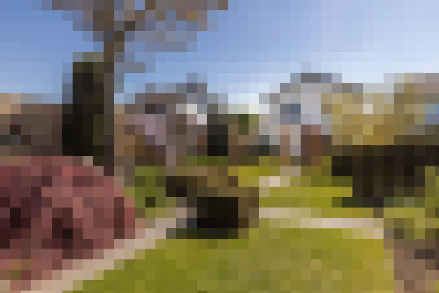 Veersestraat 31 Guttecoven thumbnail 43
