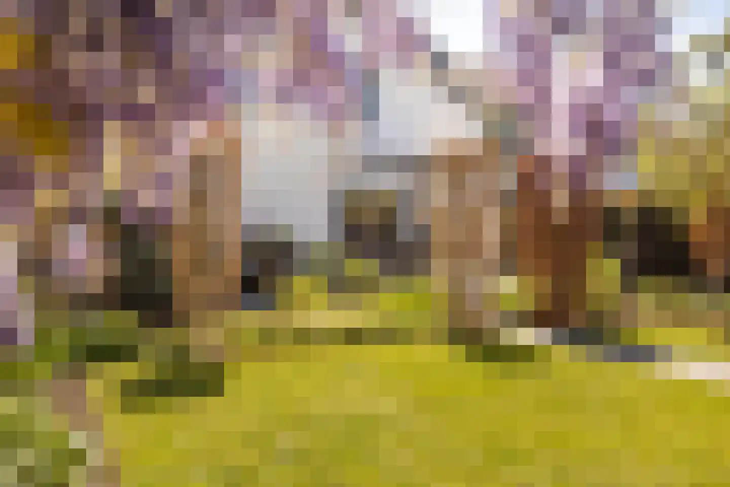 Veersestraat 31 Guttecoven thumbnail 45