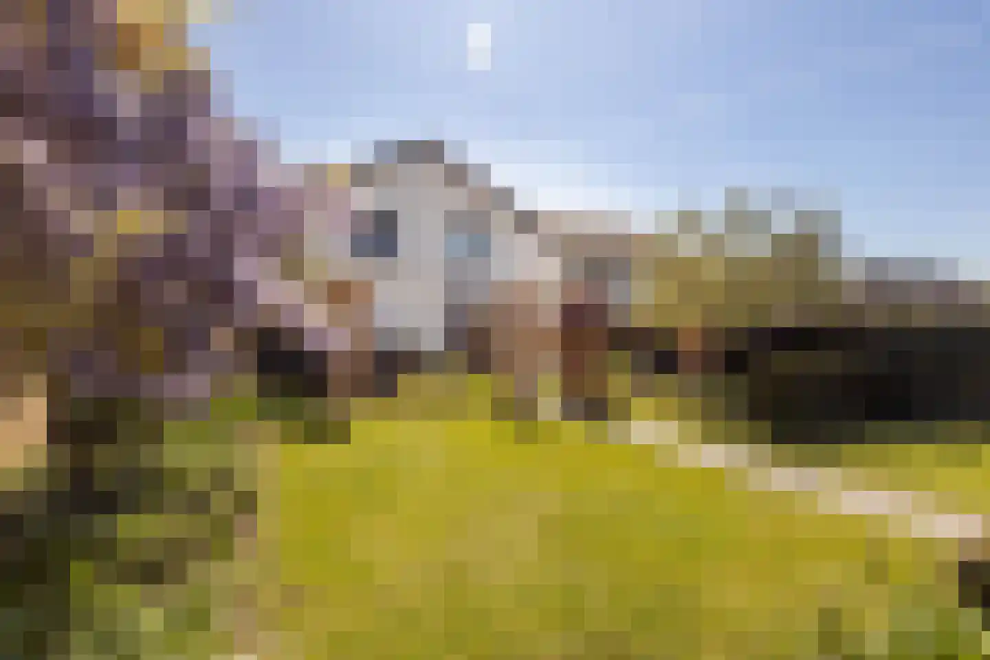 Veersestraat 31 Guttecoven thumbnail 46