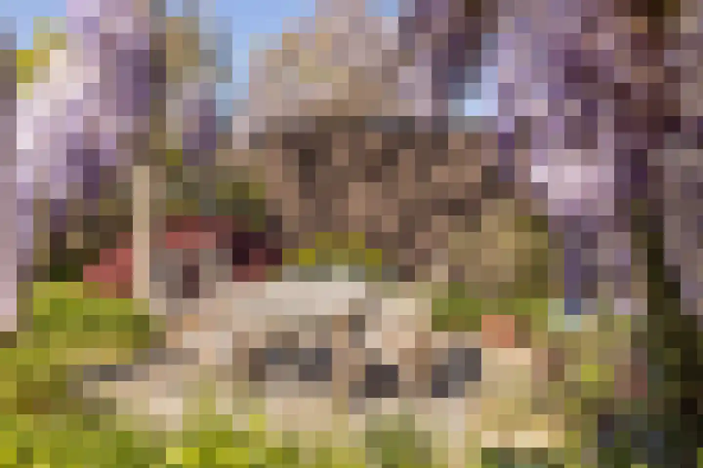 Veersestraat 31 Guttecoven thumbnail 47