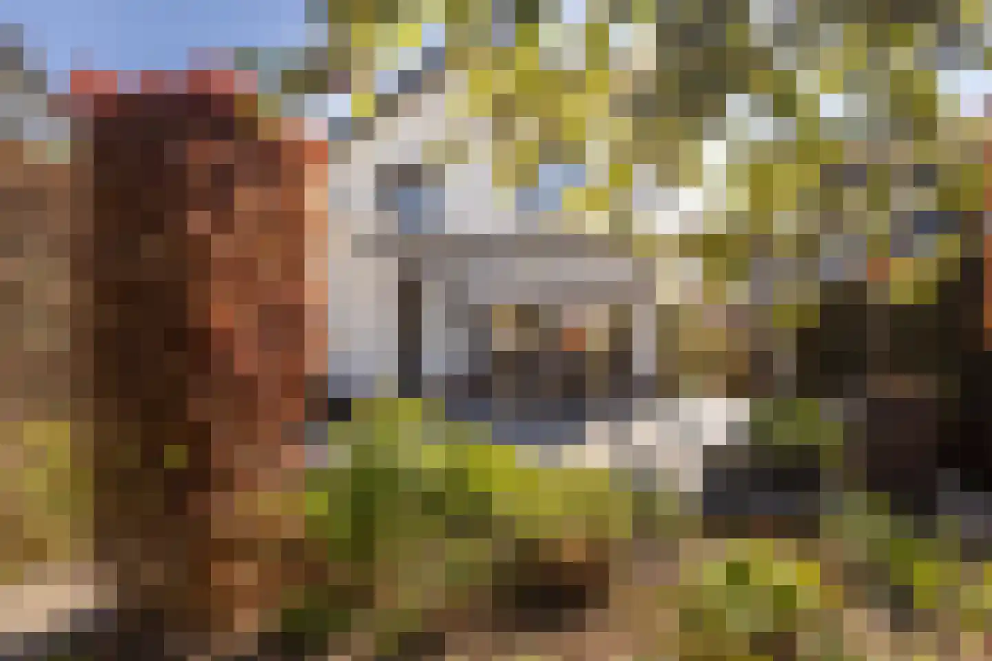 Veersestraat 31 Guttecoven thumbnail 48