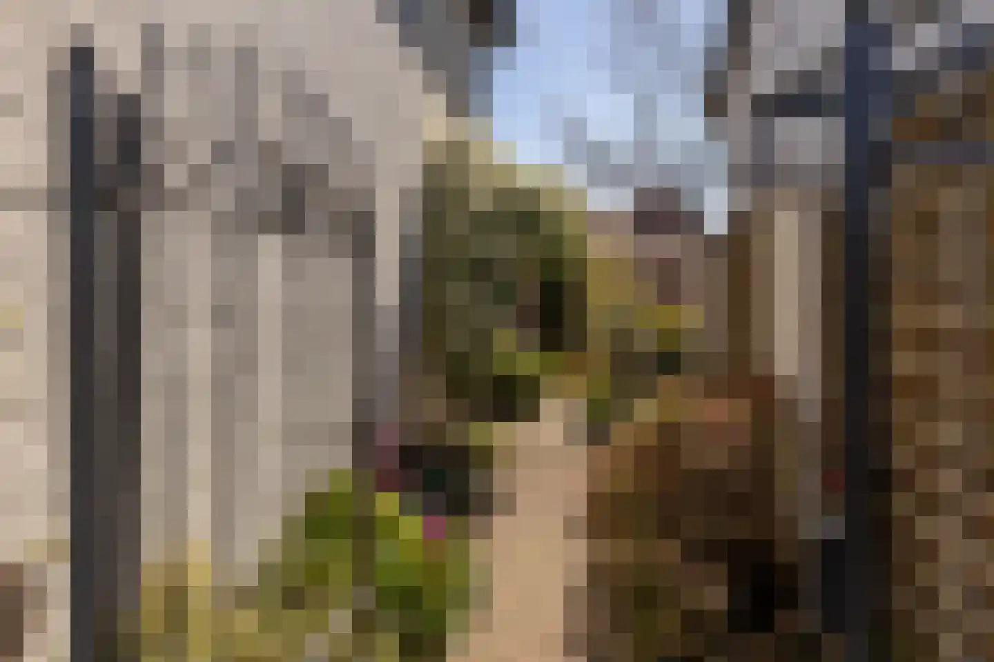 Veersestraat 31 Guttecoven thumbnail 50