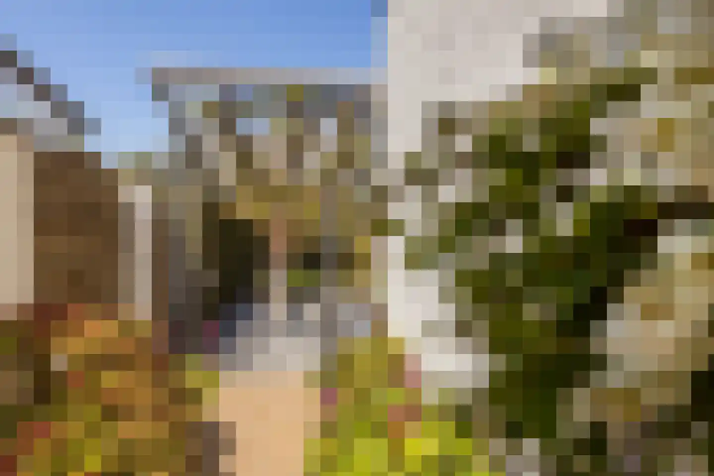 Veersestraat 31 Guttecoven thumbnail 51