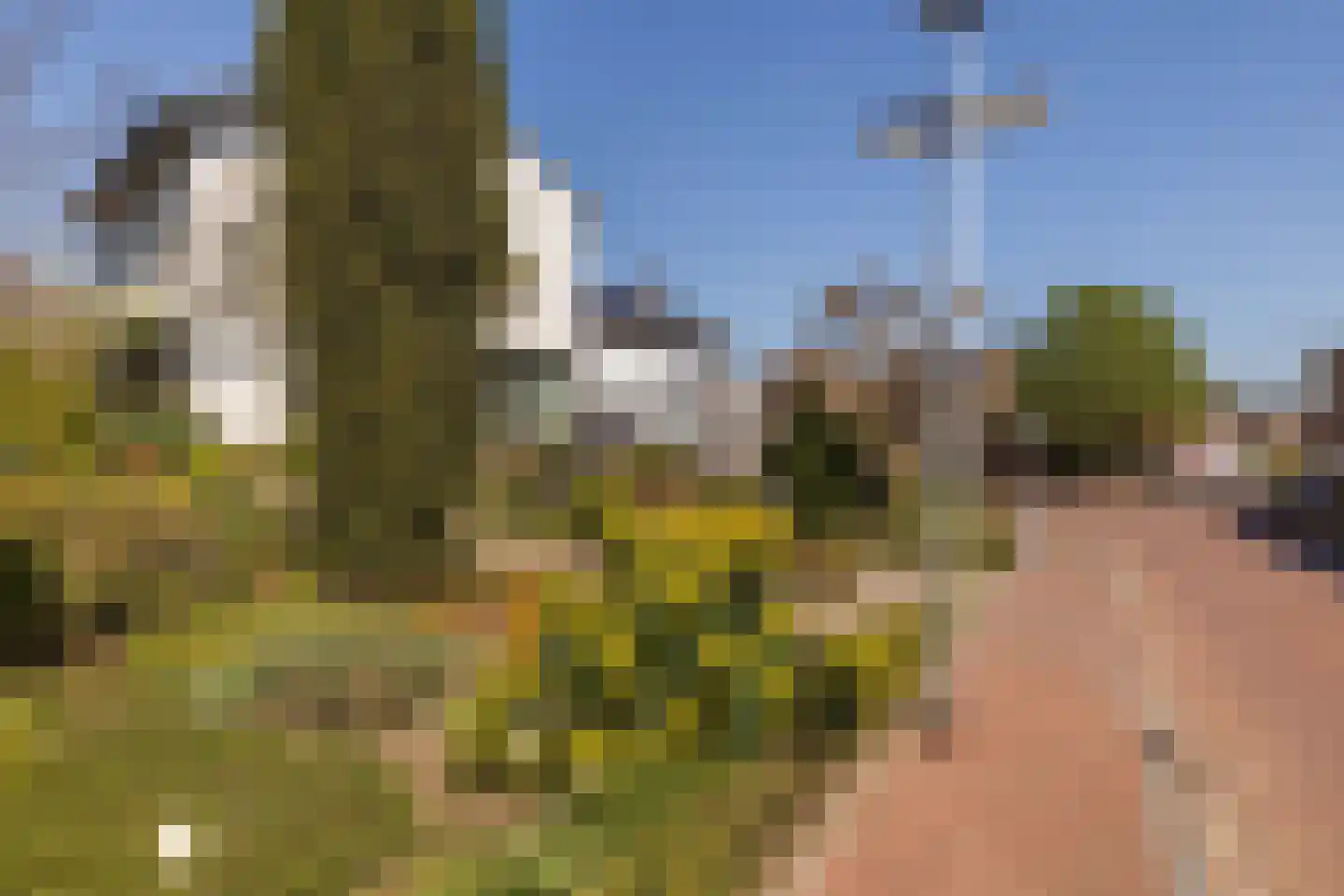 Veersestraat 31 Guttecoven thumbnail 6