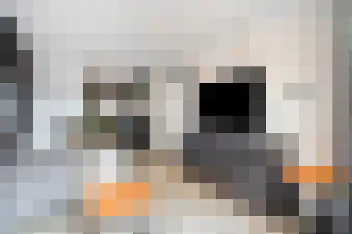 Veersestraat 6 Guttecoven thumbnail 34