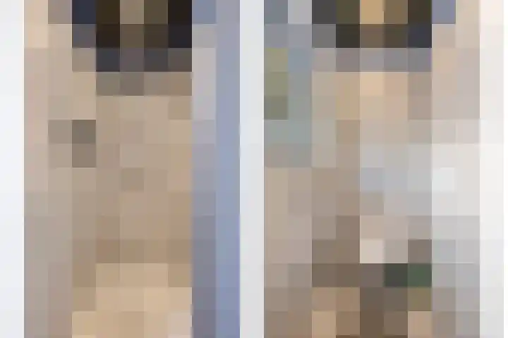 Veersestraat 6 Guttecoven thumbnail 41