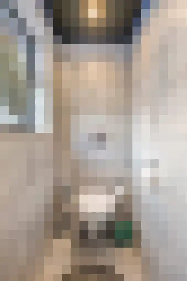 Veersestraat 6 Guttecoven thumbnail 42