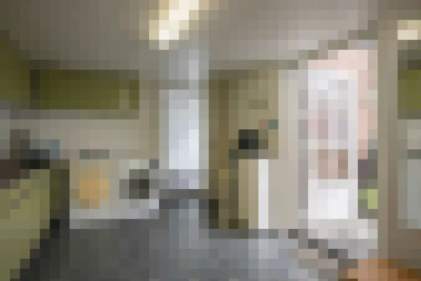 Veersestraat 7 Guttecoven thumbnail 23