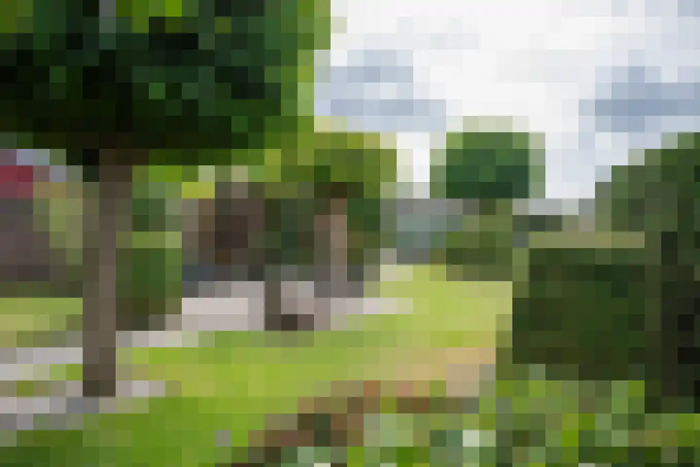 Veersestraat 7 Guttecoven thumbnail 28
