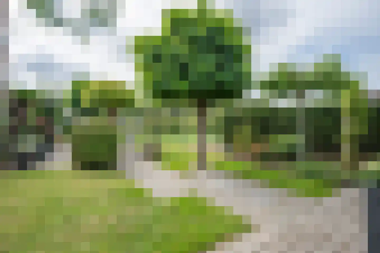 Veersestraat 7 Guttecoven thumbnail 4