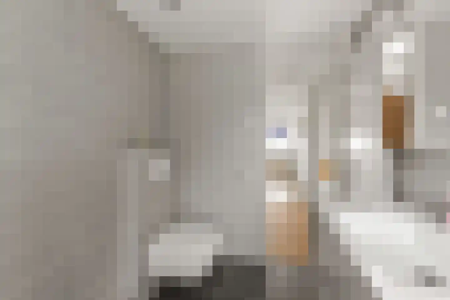 Veerseveste 41 Nieuwegein thumbnail 23