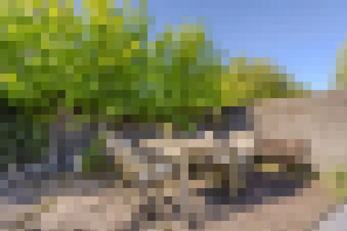 Veerseweg 37 Oosterhout thumbnail 68