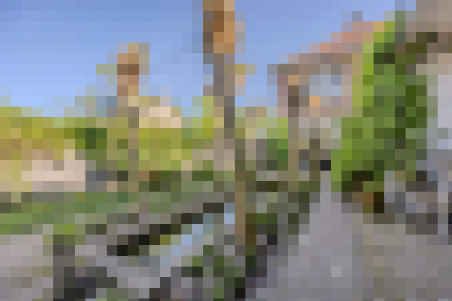 Veerseweg 37 Oosterhout thumbnail 74