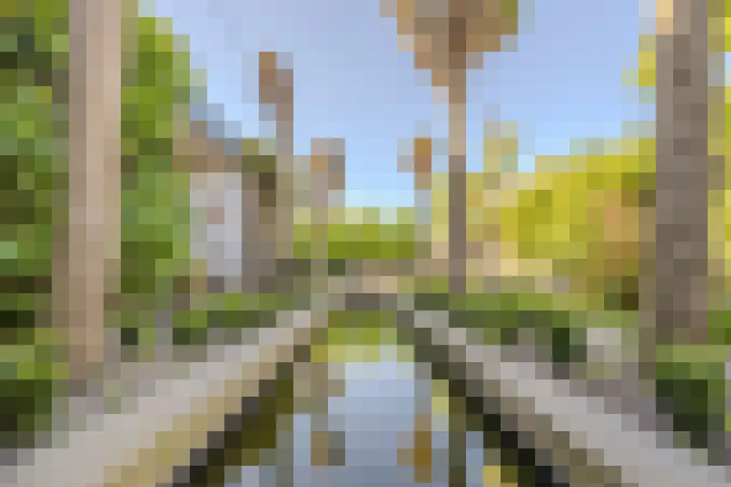 Veerseweg 37 Oosterhout thumbnail 76