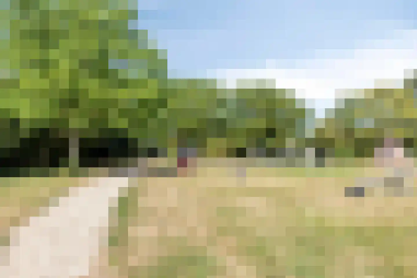 Veerseweg 44 Veere thumbnail 19