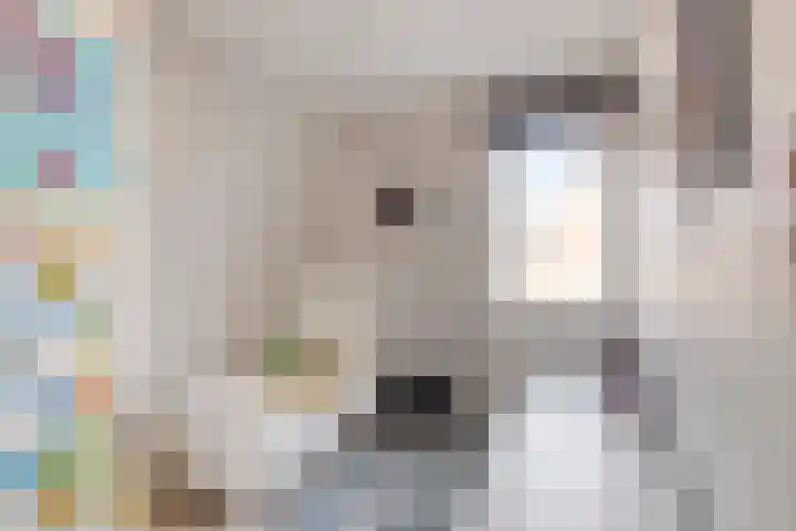 Veerseweg 45 Middelburg thumbnail 18