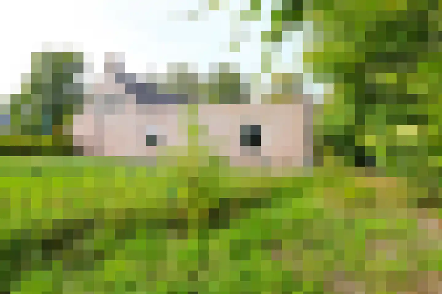 Veerseweg 54 F Oosterhout thumbnail 30
