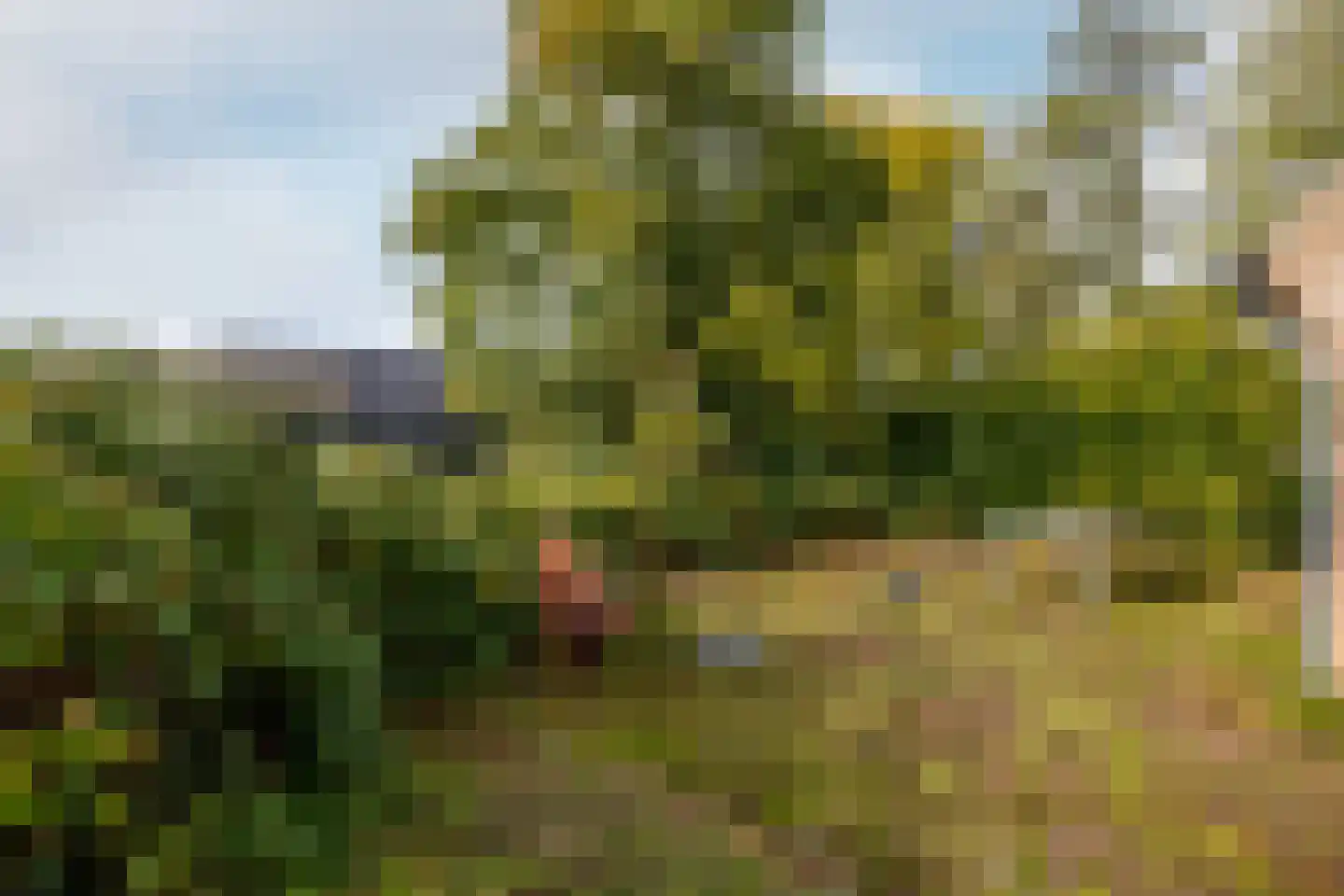 Veerseweg 54 F Oosterhout thumbnail 33