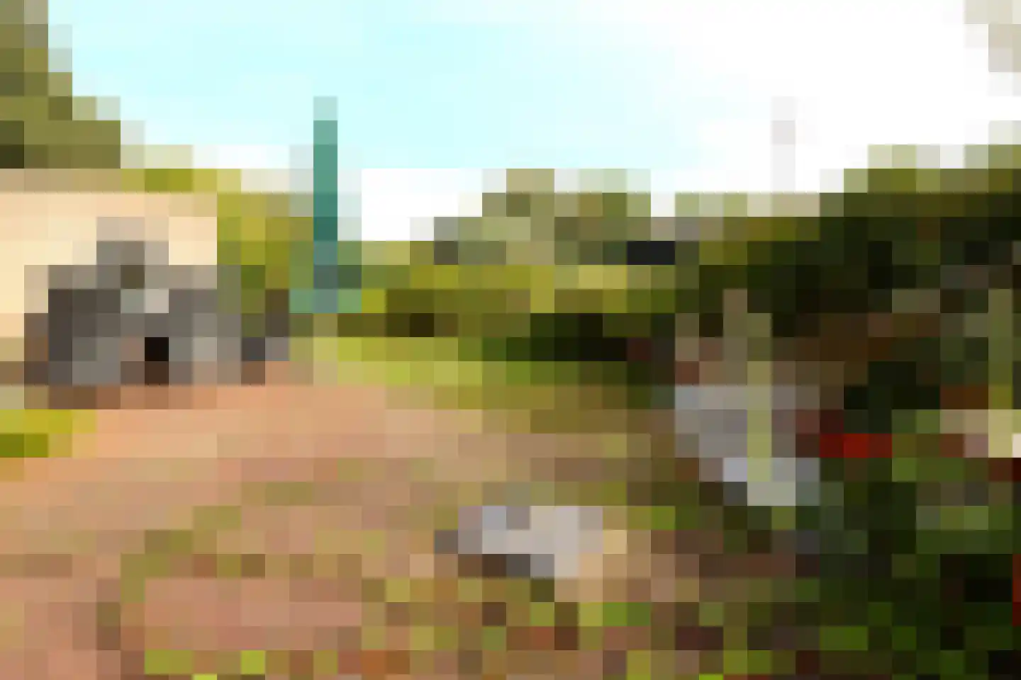 Veerseweg 54 F Oosterhout thumbnail 34
