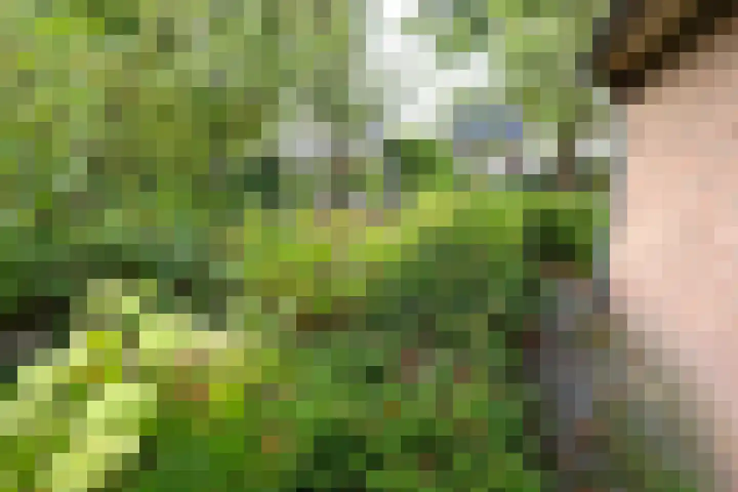 Veerseweg 54 F Oosterhout thumbnail 35