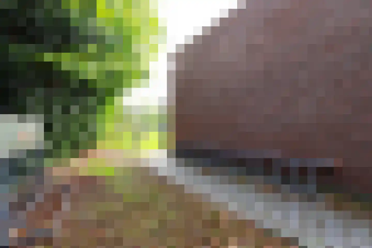 Veerseweg 54 F Oosterhout thumbnail 36