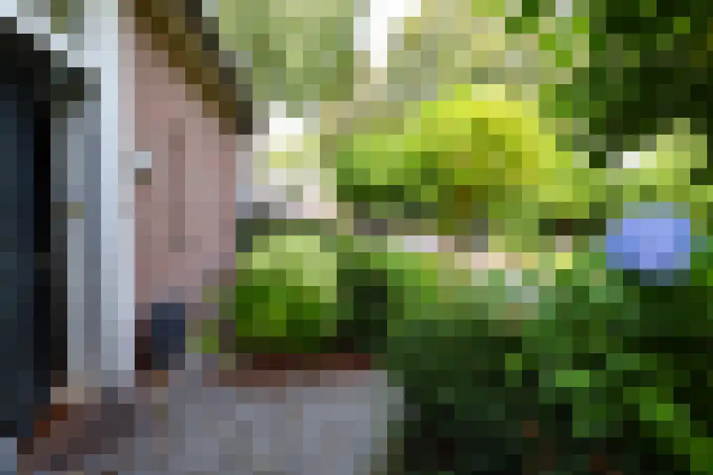 Veerseweg 54 F Oosterhout thumbnail 38