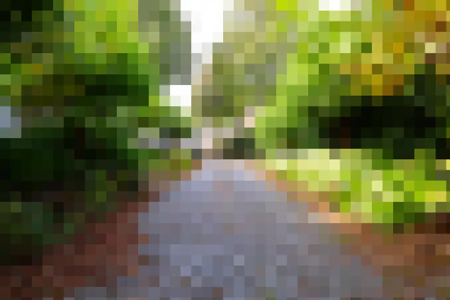 Veerseweg 54 F Oosterhout thumbnail 40