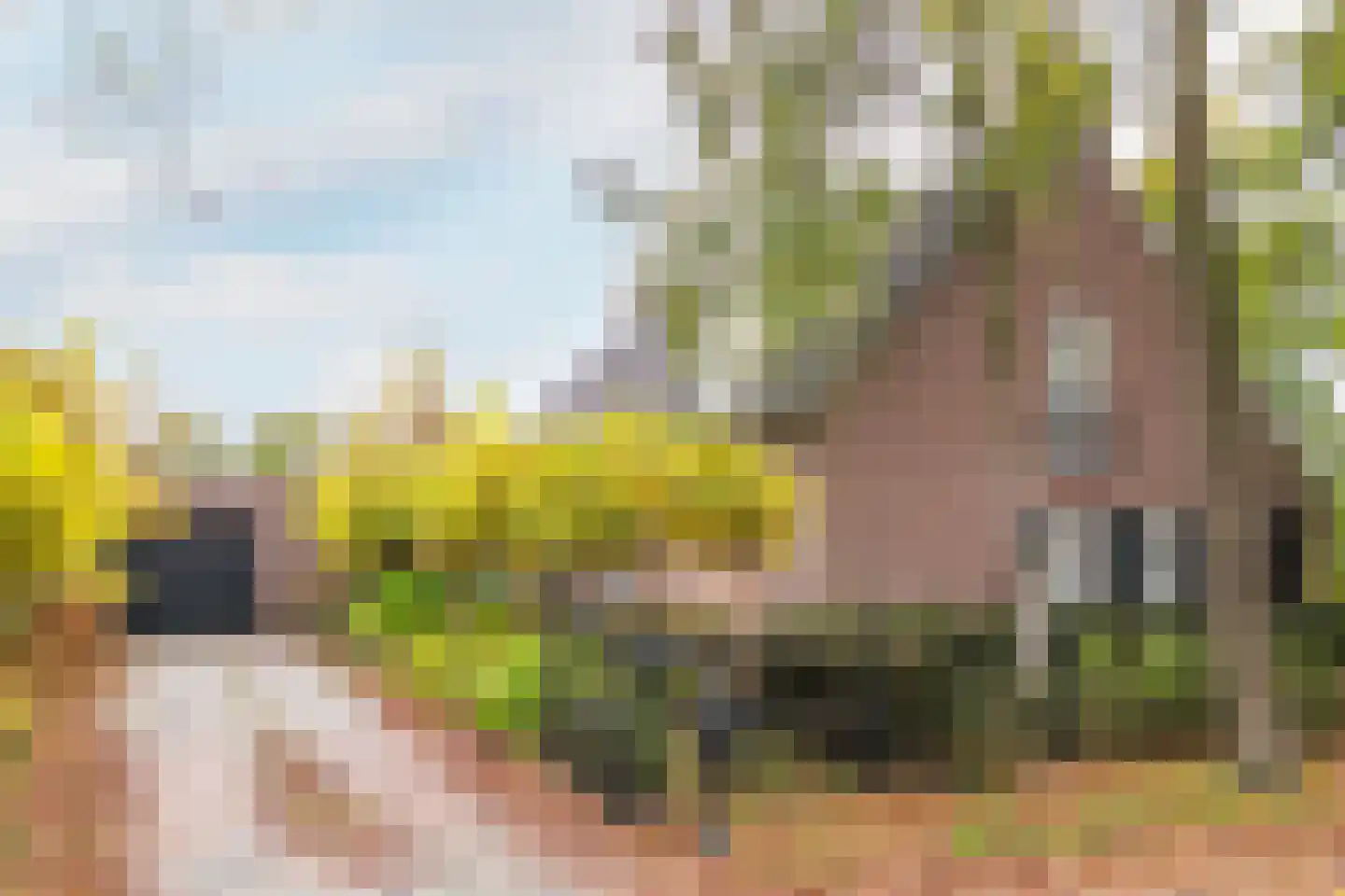 Veerseweg 54 F Oosterhout thumbnail 42