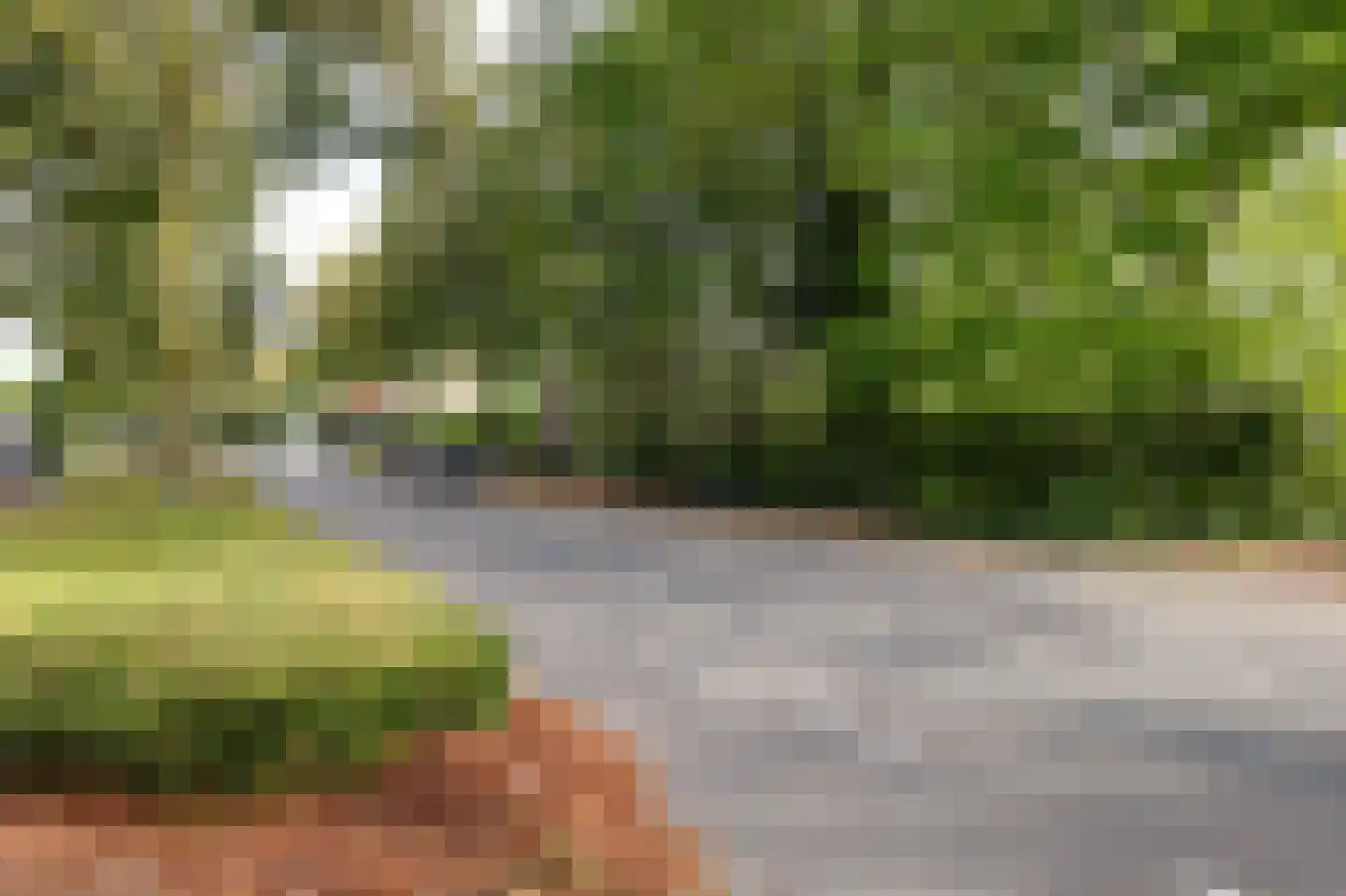 Veerseweg 54 F Oosterhout thumbnail 44