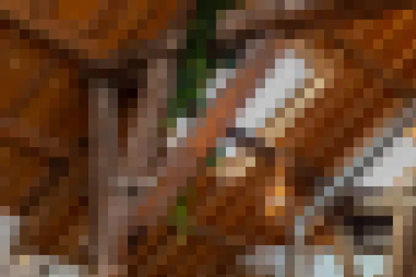 Veerseweg 54 Veere thumbnail 14