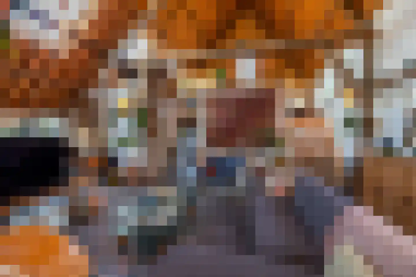 Veerseweg 54 Veere thumbnail 21