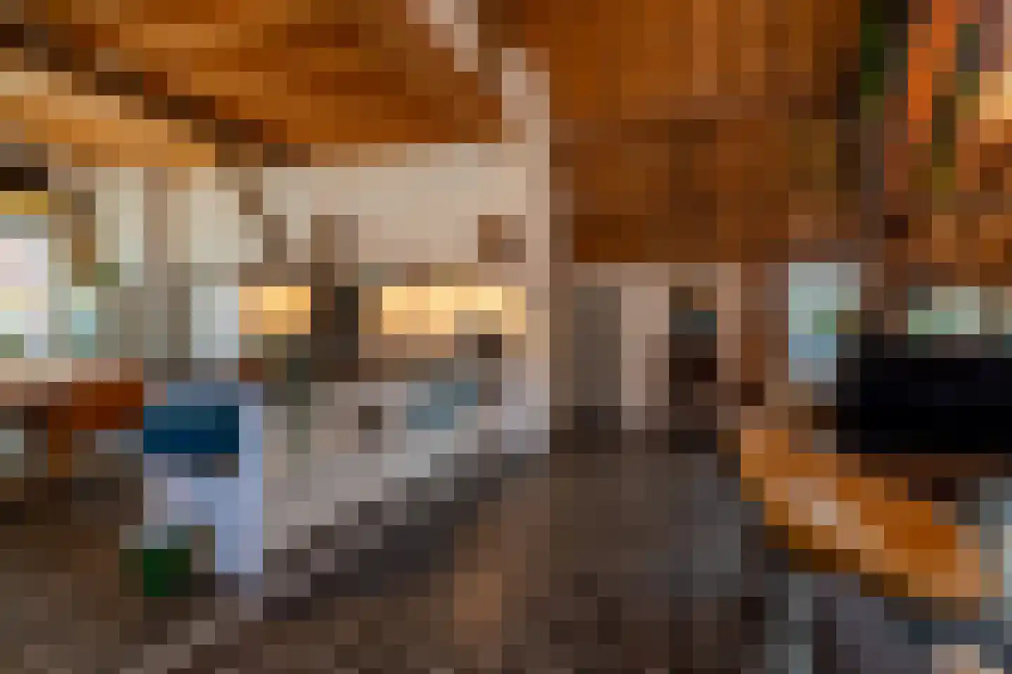 Veerseweg 54 Veere thumbnail 22