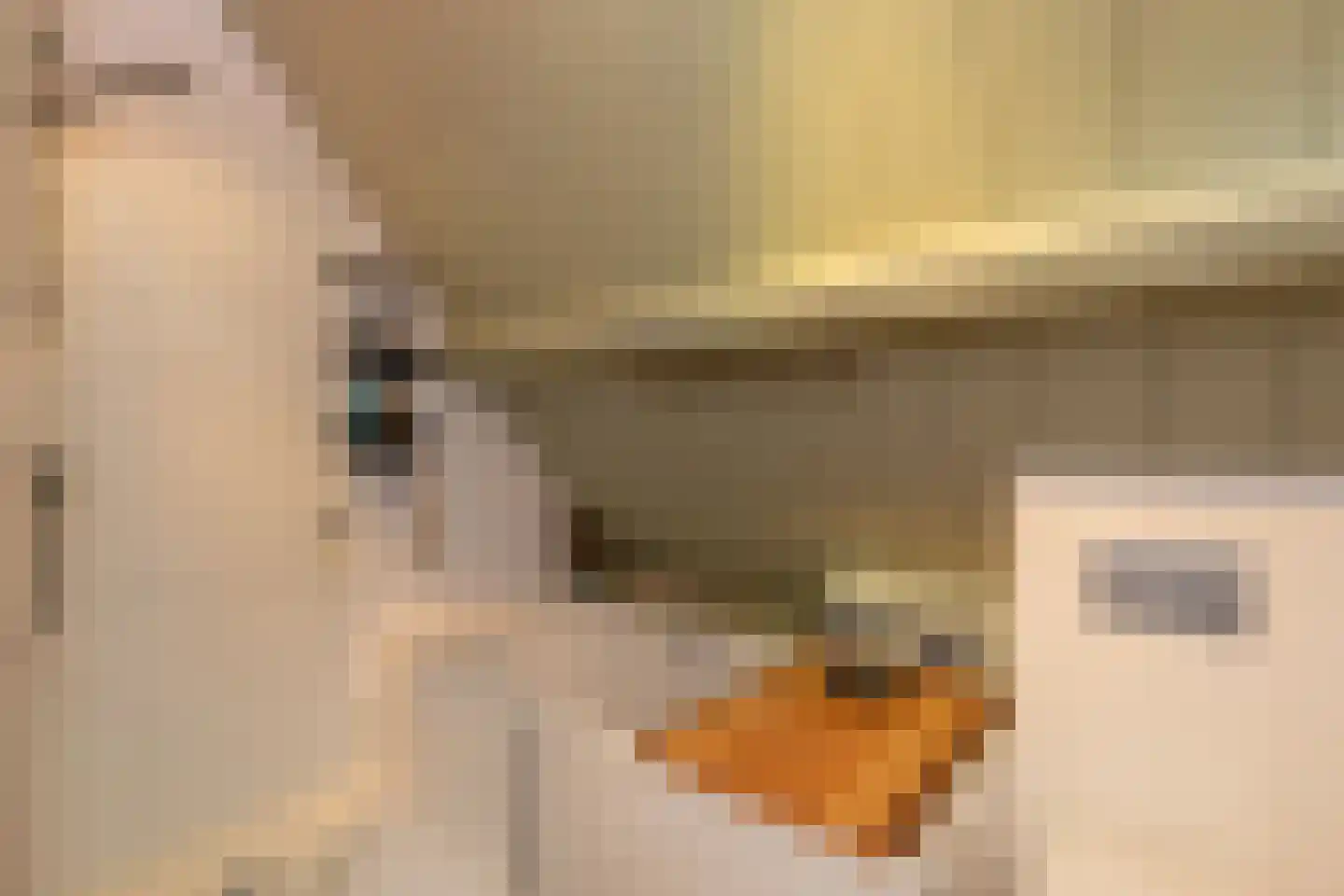 Veerseweg 54 Veere thumbnail 33