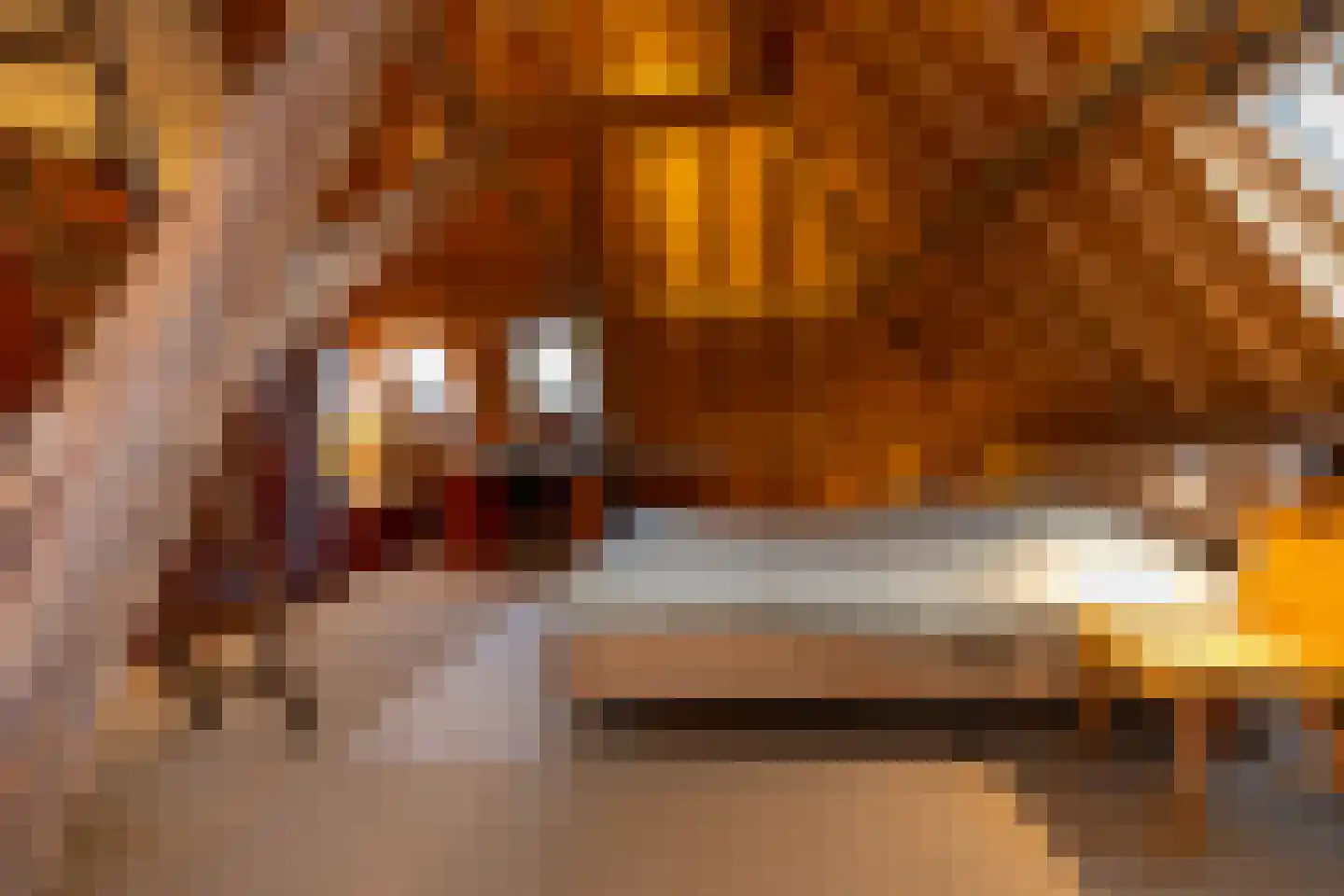 Veerseweg 54 Veere thumbnail 36