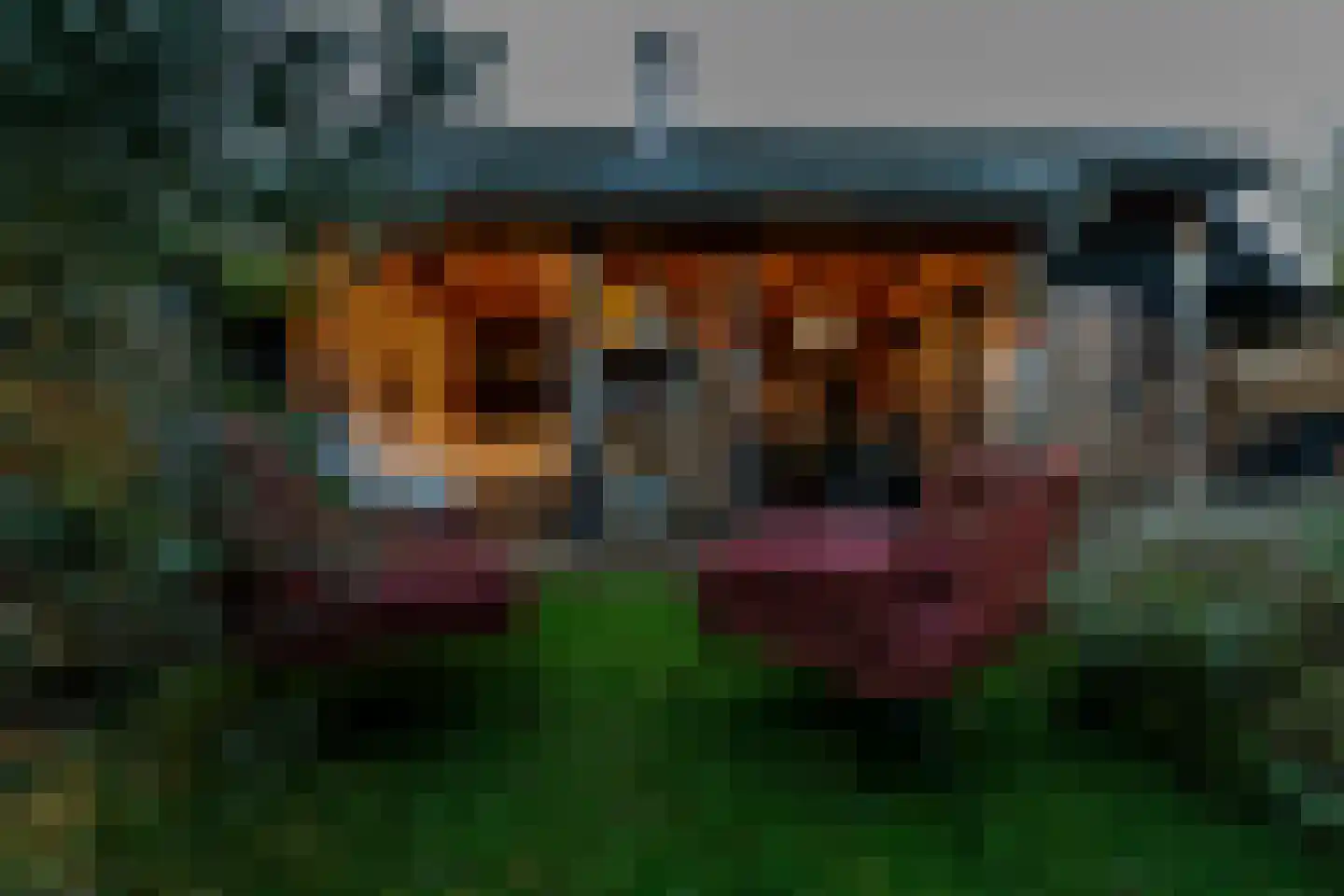 Veerseweg 54 Veere thumbnail 4