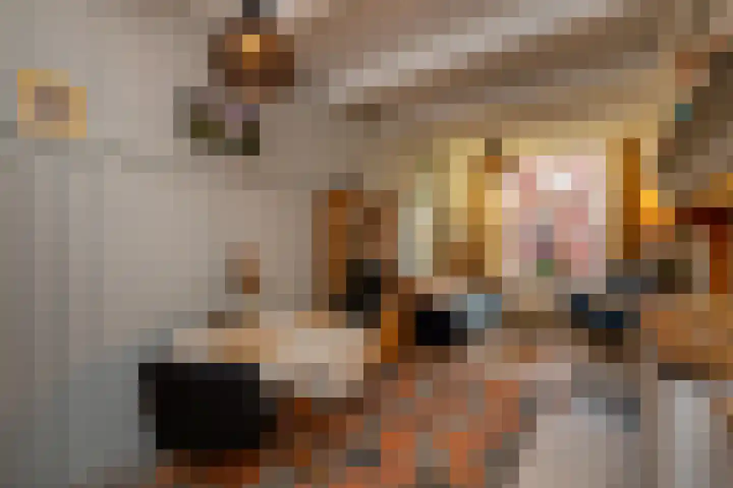 Veerseweg 54 Veere thumbnail 42