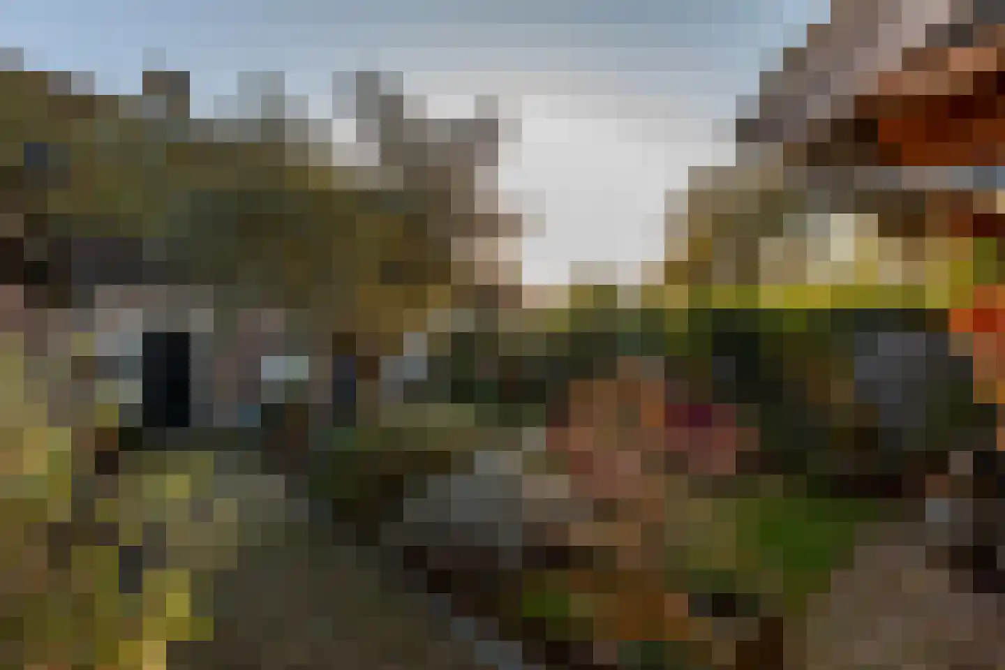 Veerseweg 54 Veere thumbnail 57